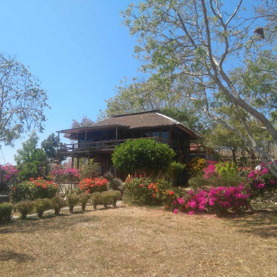 Heaven On The Planet Hotel Ekas Exterior foto